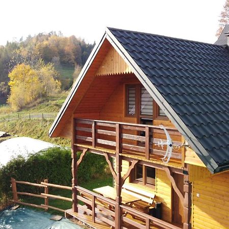 Domek Dzikusowka 1 Bieszczady Solina Polanczyk Zawoz Cisna Gorzanka Ngoại thất bức ảnh